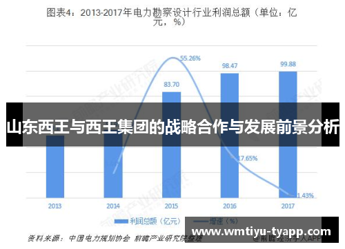 山东西王与西王集团的战略合作与发展前景分析
