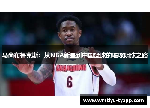 马尚布鲁克斯：从NBA新星到中国篮球的璀璨明珠之路